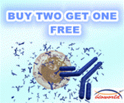 (bs6007m) β actin (4d3) monoclonal antibody - bioworld - citeab